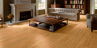 Alpine Floor Easy Line